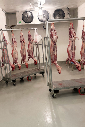Hanging Halal Meat